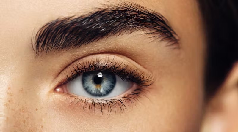 fox-eyes