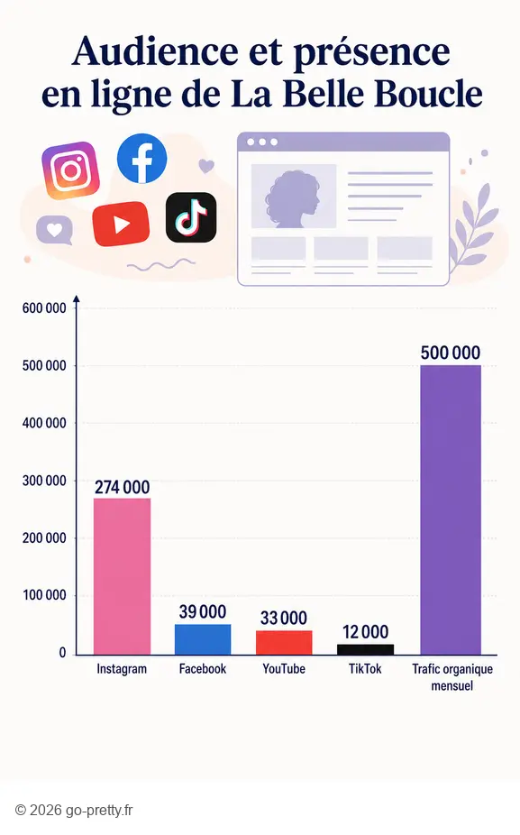 Statistiques d'audience de La Belle Boucle : abonnés réseaux sociaux et trafic organique web.