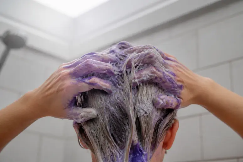 Application d'un shampoing violet pour entretenir un shampoing pour cheveux grisonnants.